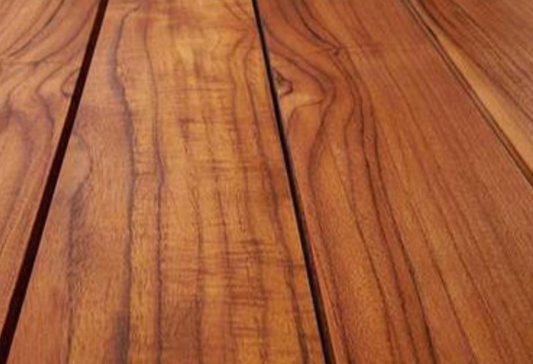 Tablas de teca en proceso de secado
